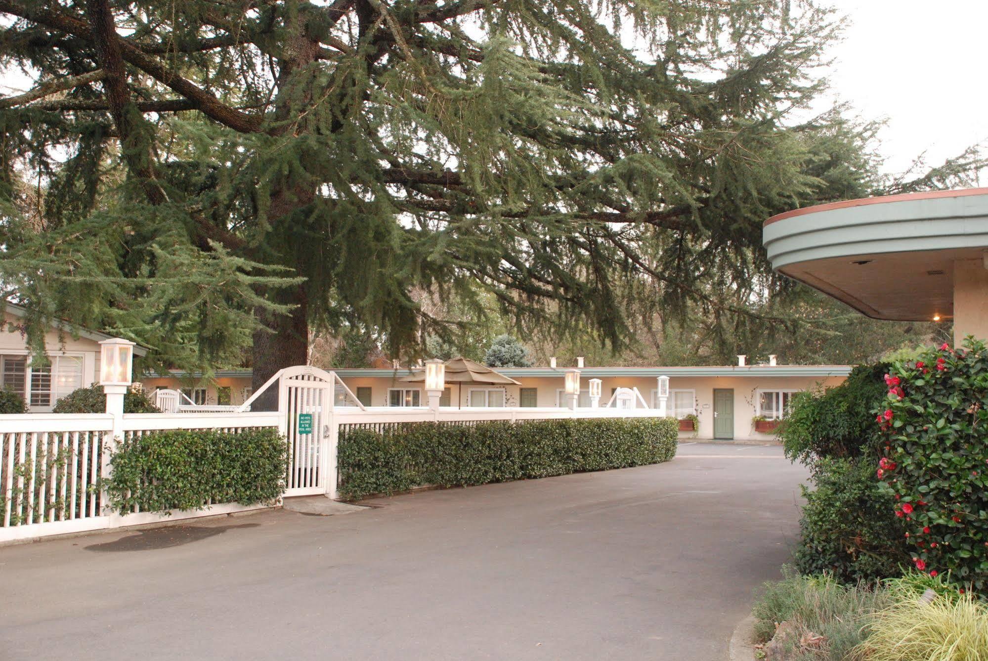 El Bonita Motel 세인트 헬레나 외부 사진